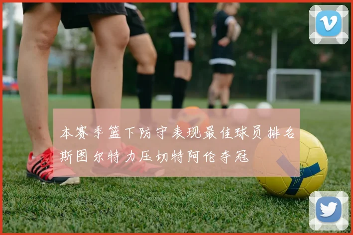 本赛季篮下防守表现最佳球员排名斯图尔特力压切特阿伦夺冠